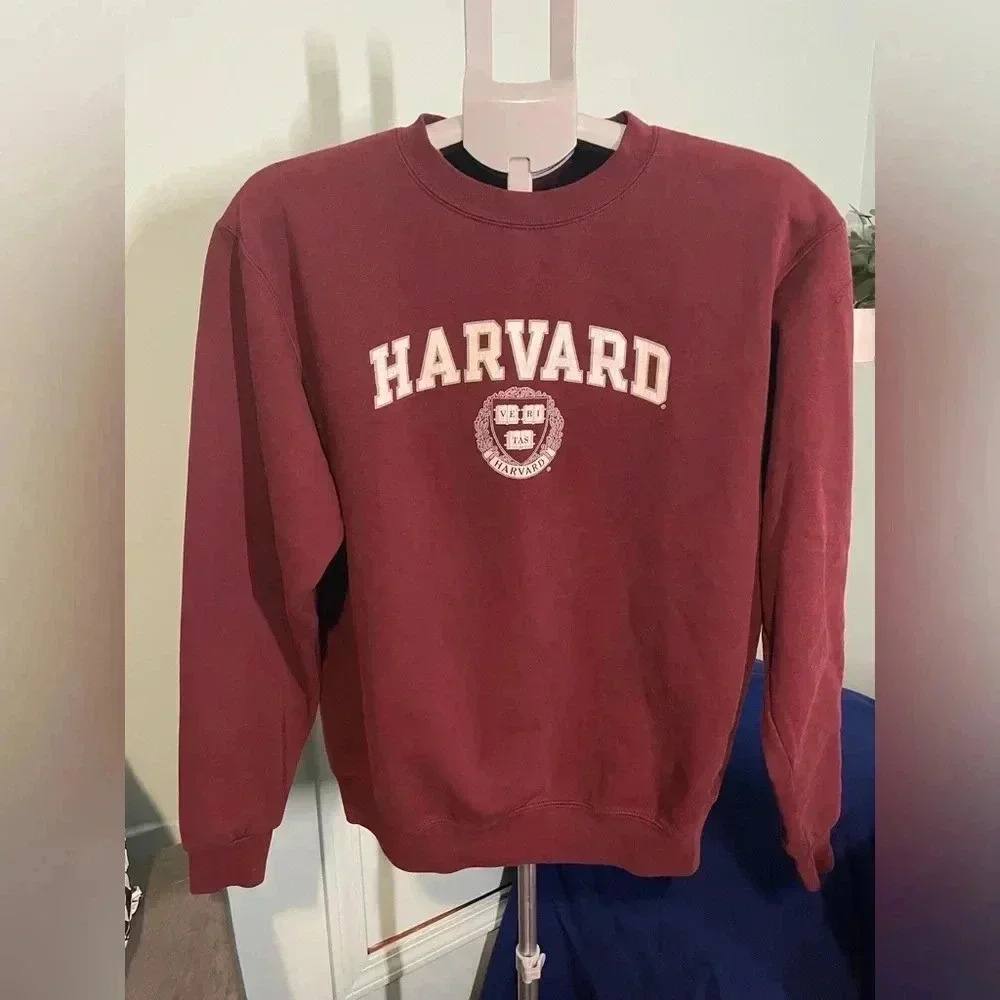 Vintage Champion Harvard hoodie‎ burgundy size medium